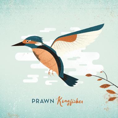 Prawn -  Kingfisher